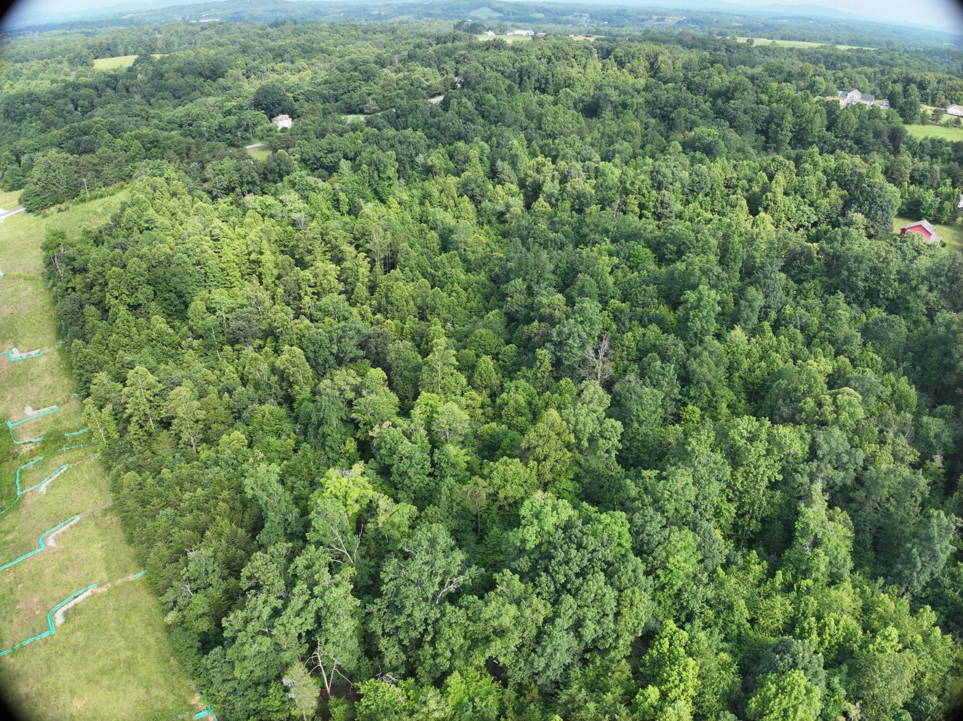 0 Jacks Creek RD - Photo 8