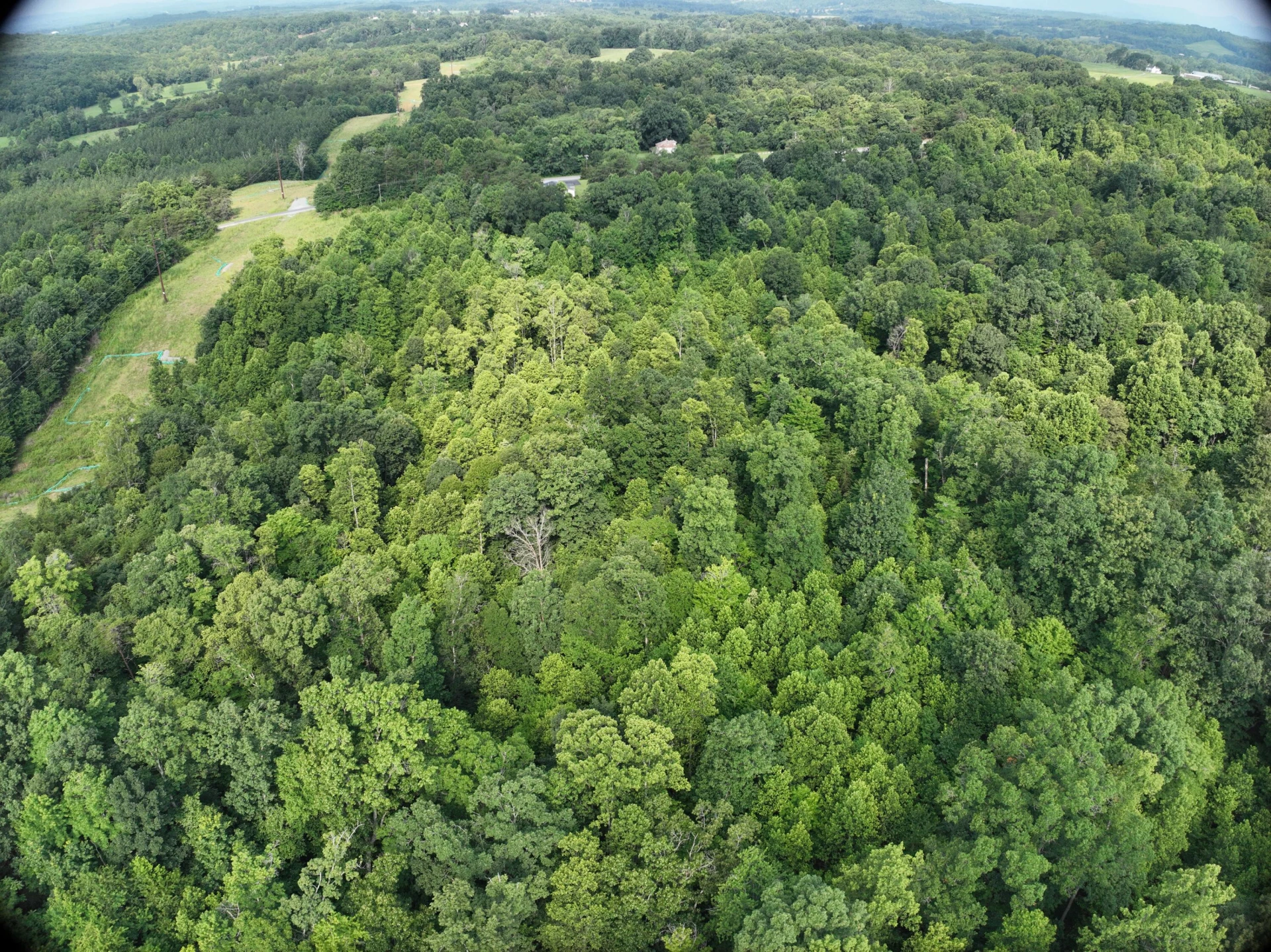 0 Jacks Creek RD - Photo 9