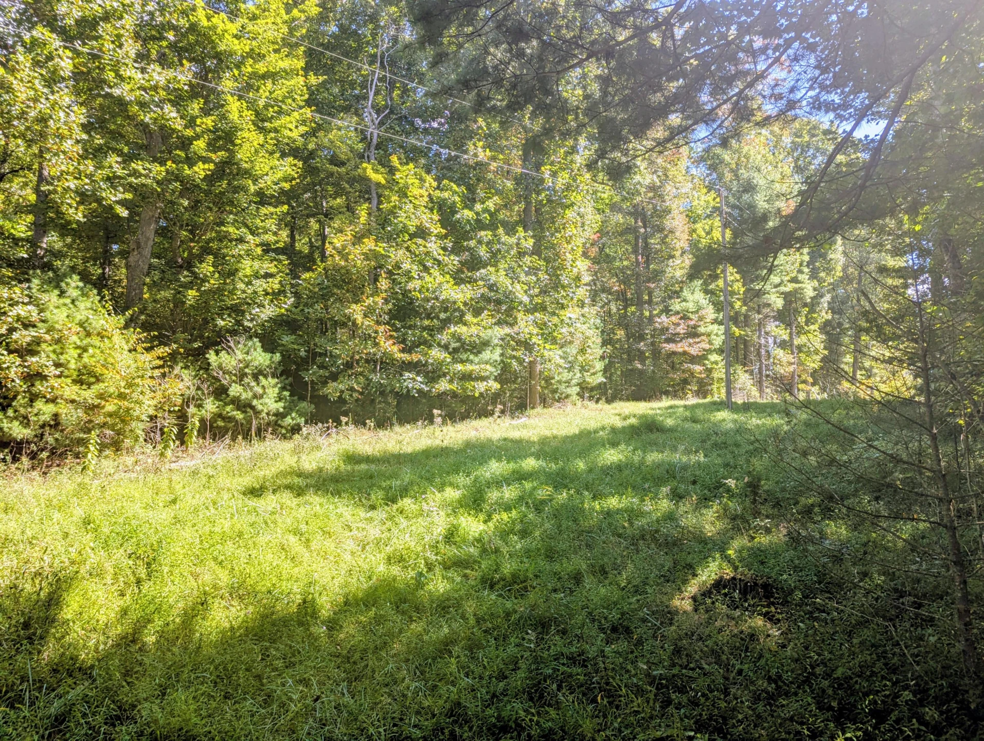 1705 Barberry RD SE - Photo 44