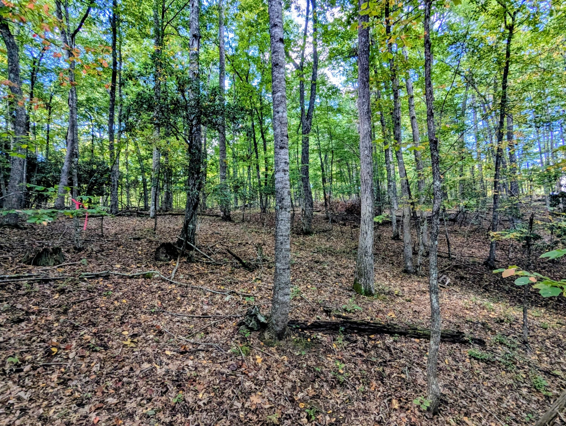 1705 Barberry RD SE - Photo 47