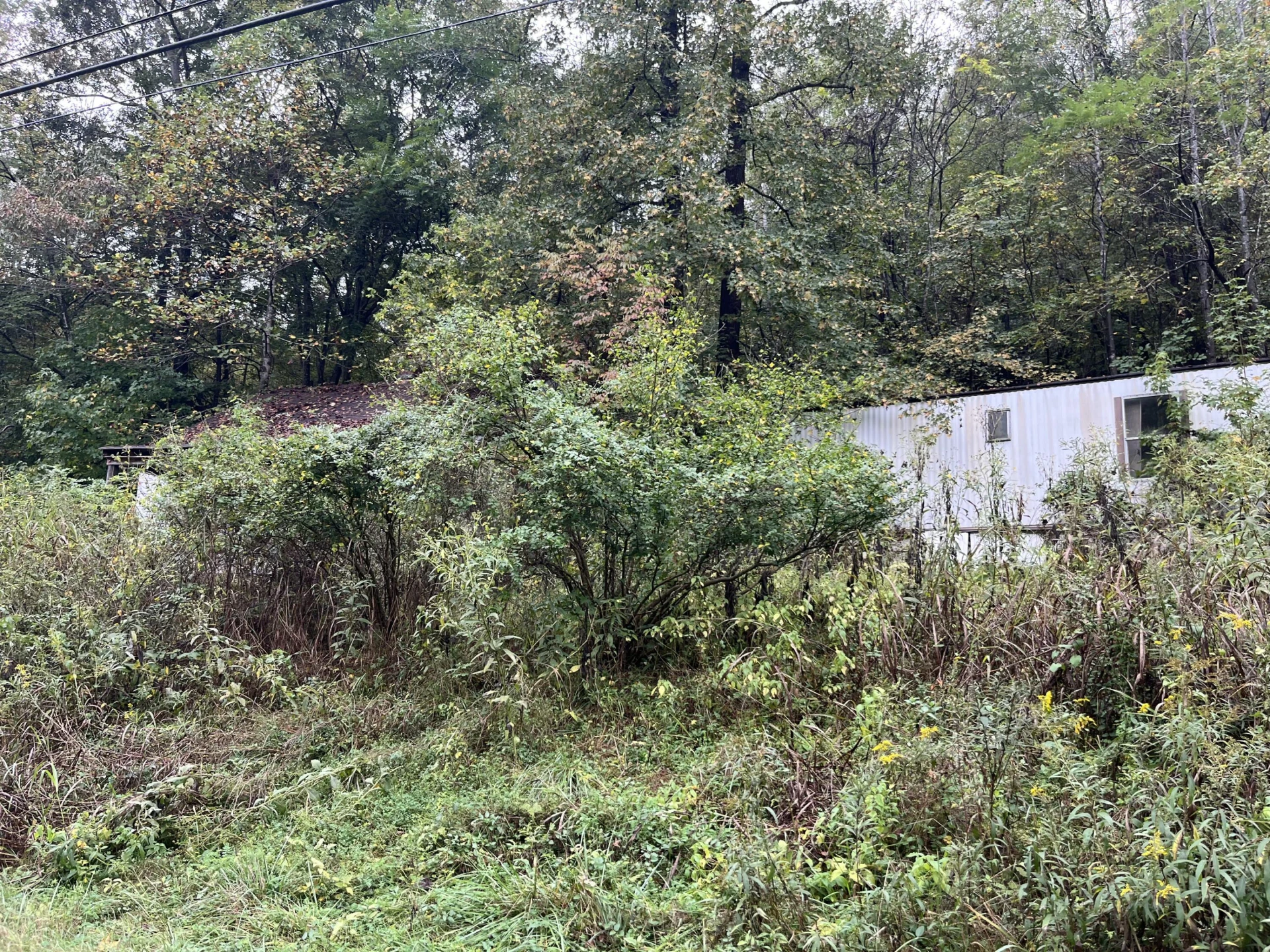 10685 Hardy RD