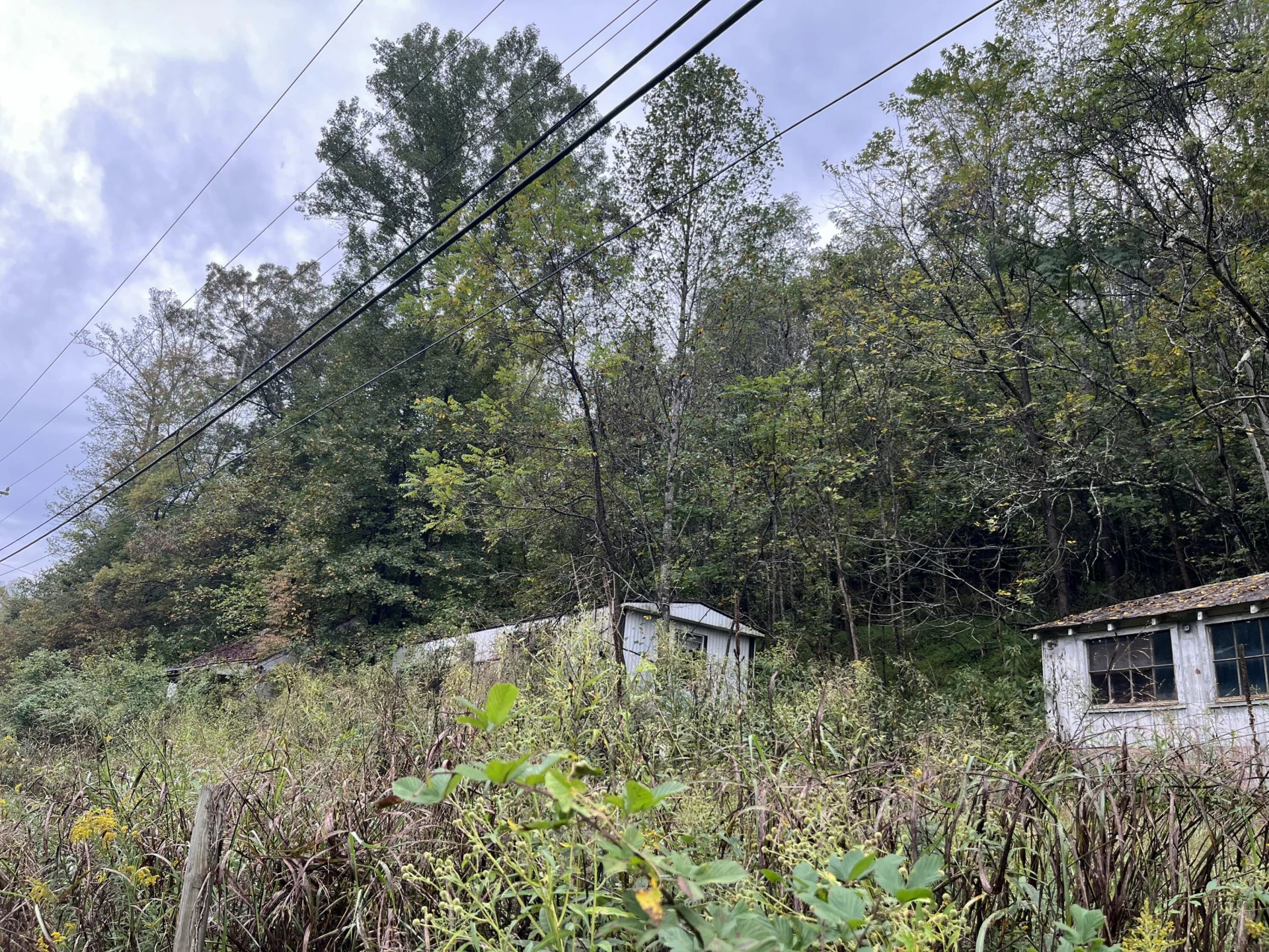 10685 Hardy RD - Photo 2
