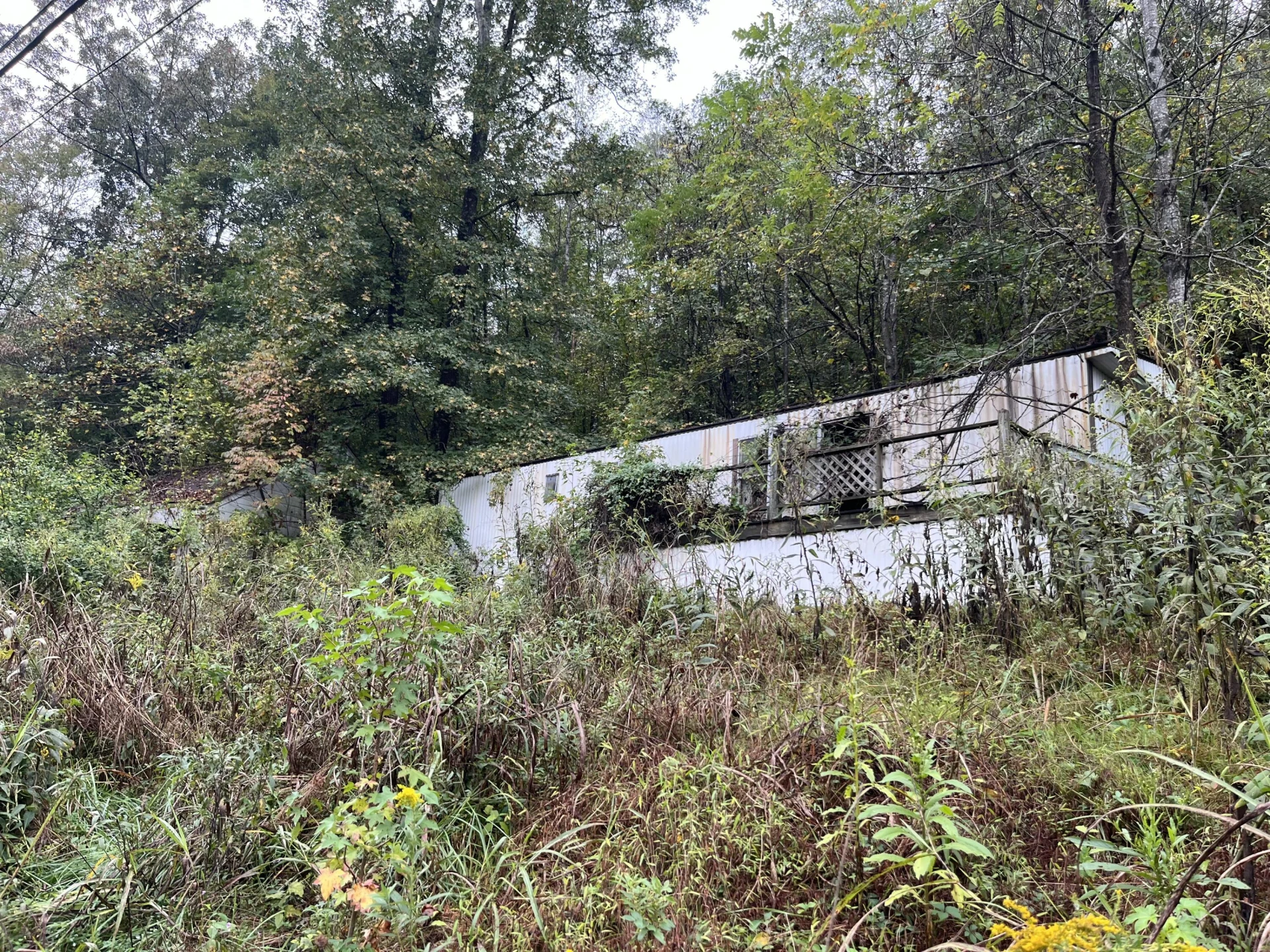 10685 Hardy RD - Photo 3
