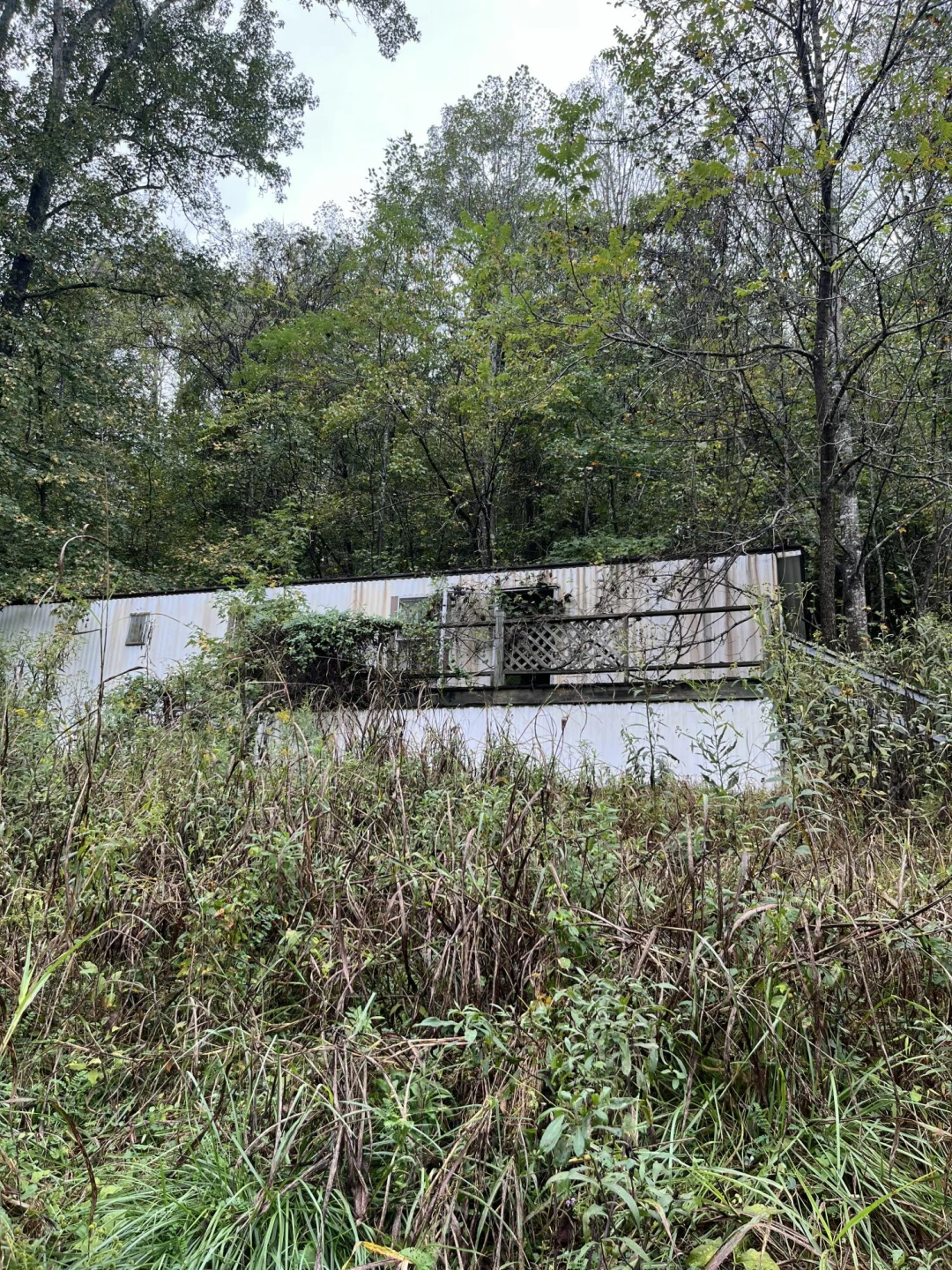 10685 Hardy RD - Photo 4