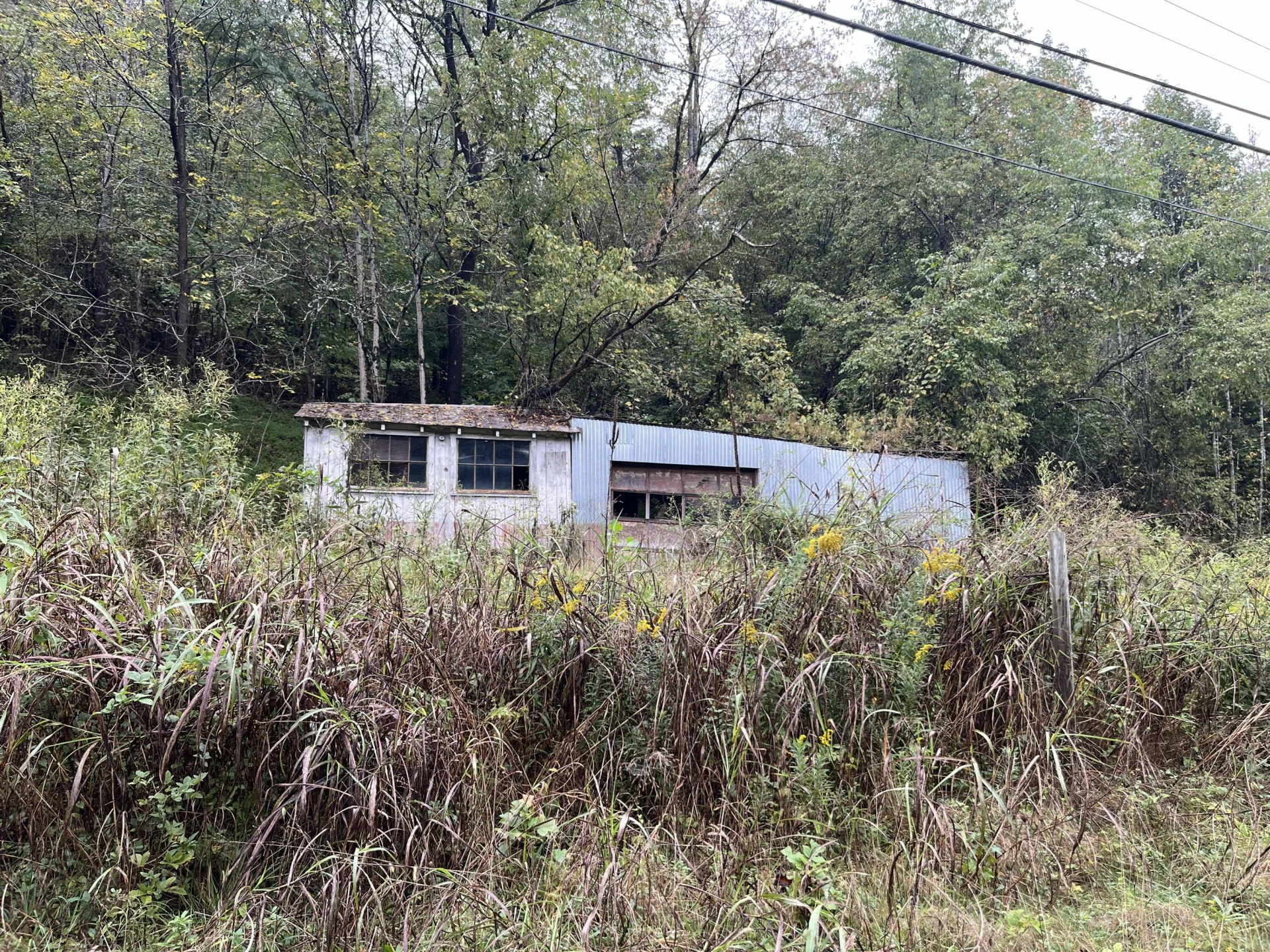 10685 Hardy RD - Photo 5