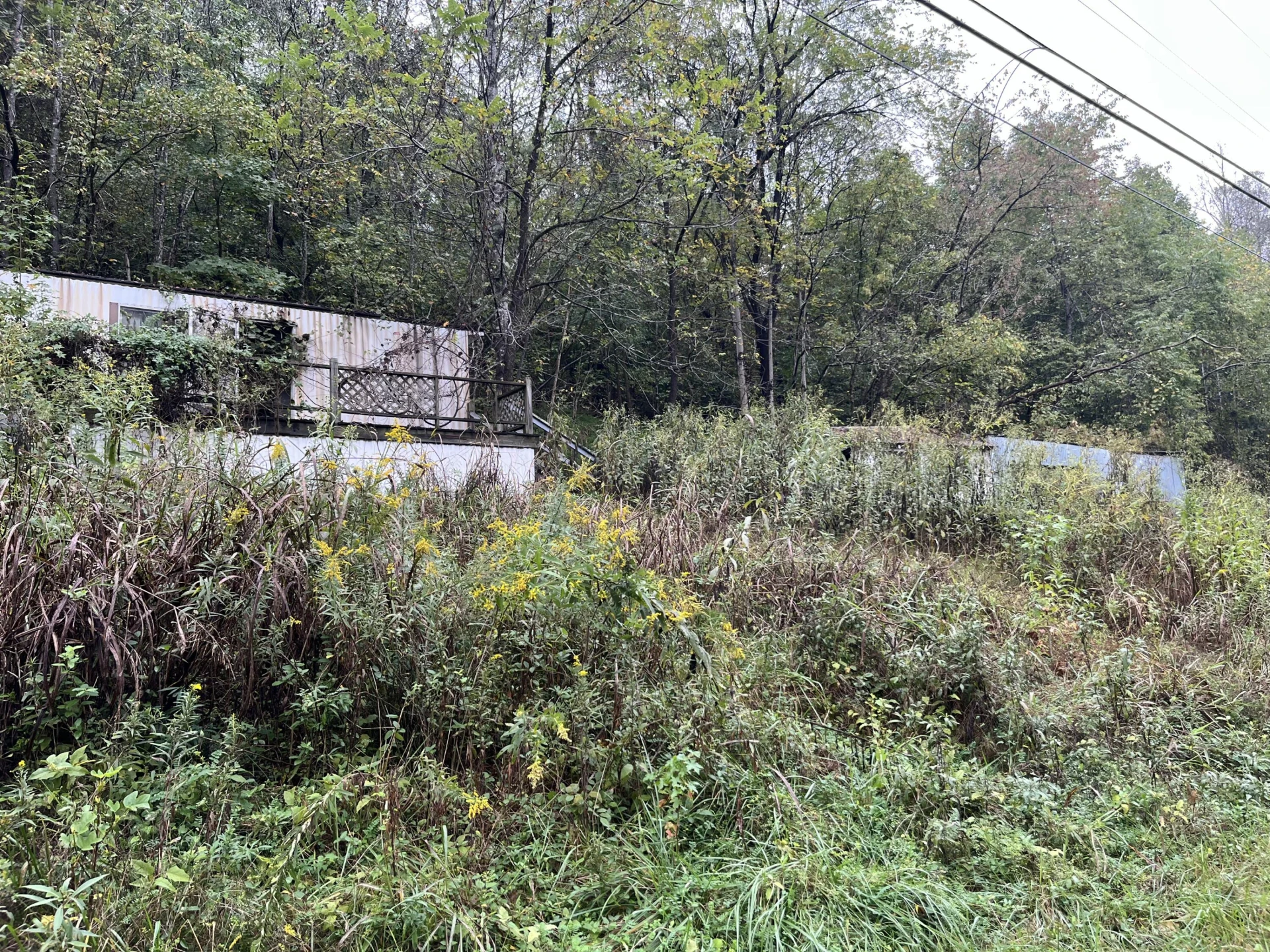 10685 Hardy RD - Photo 6