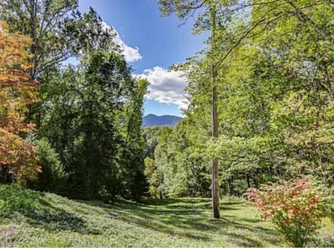 181 Mobley Mountain RD - Photo 98