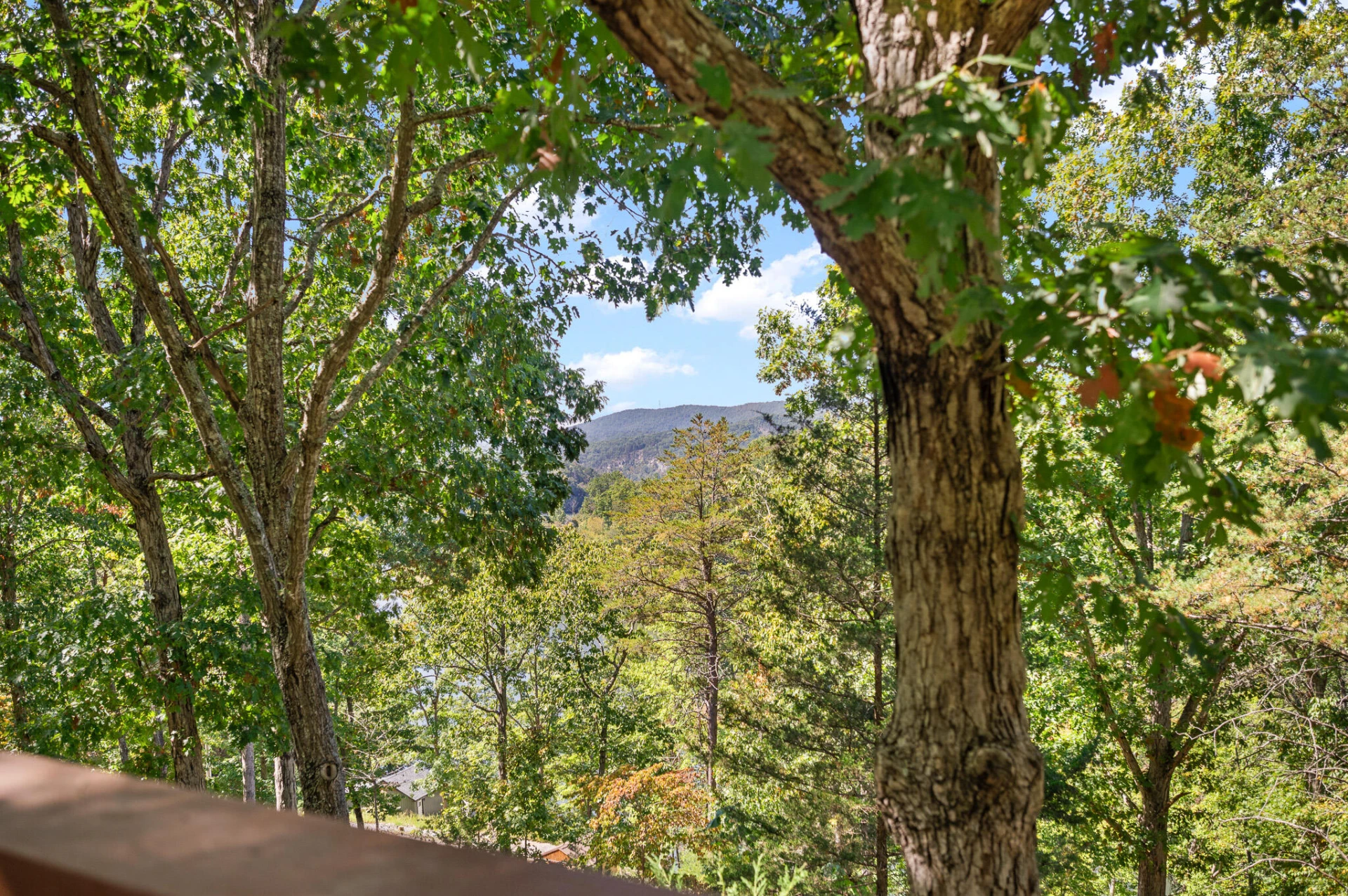 1451 Trellis Ridge DR - Photo 33