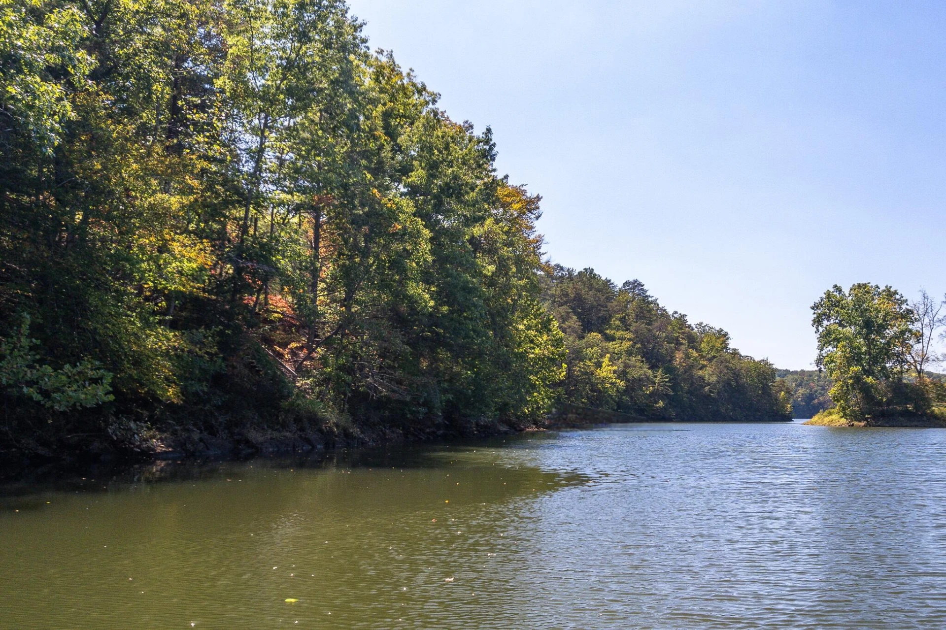 1451 Trellis Ridge DR - Photo 40