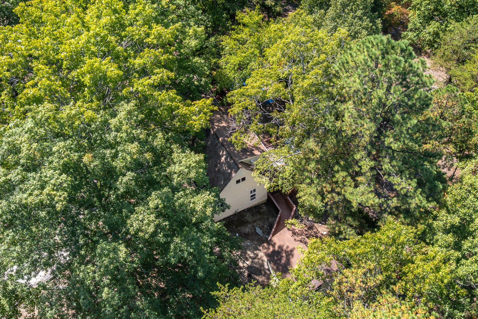 1451 Trellis Ridge DR - Photo 6