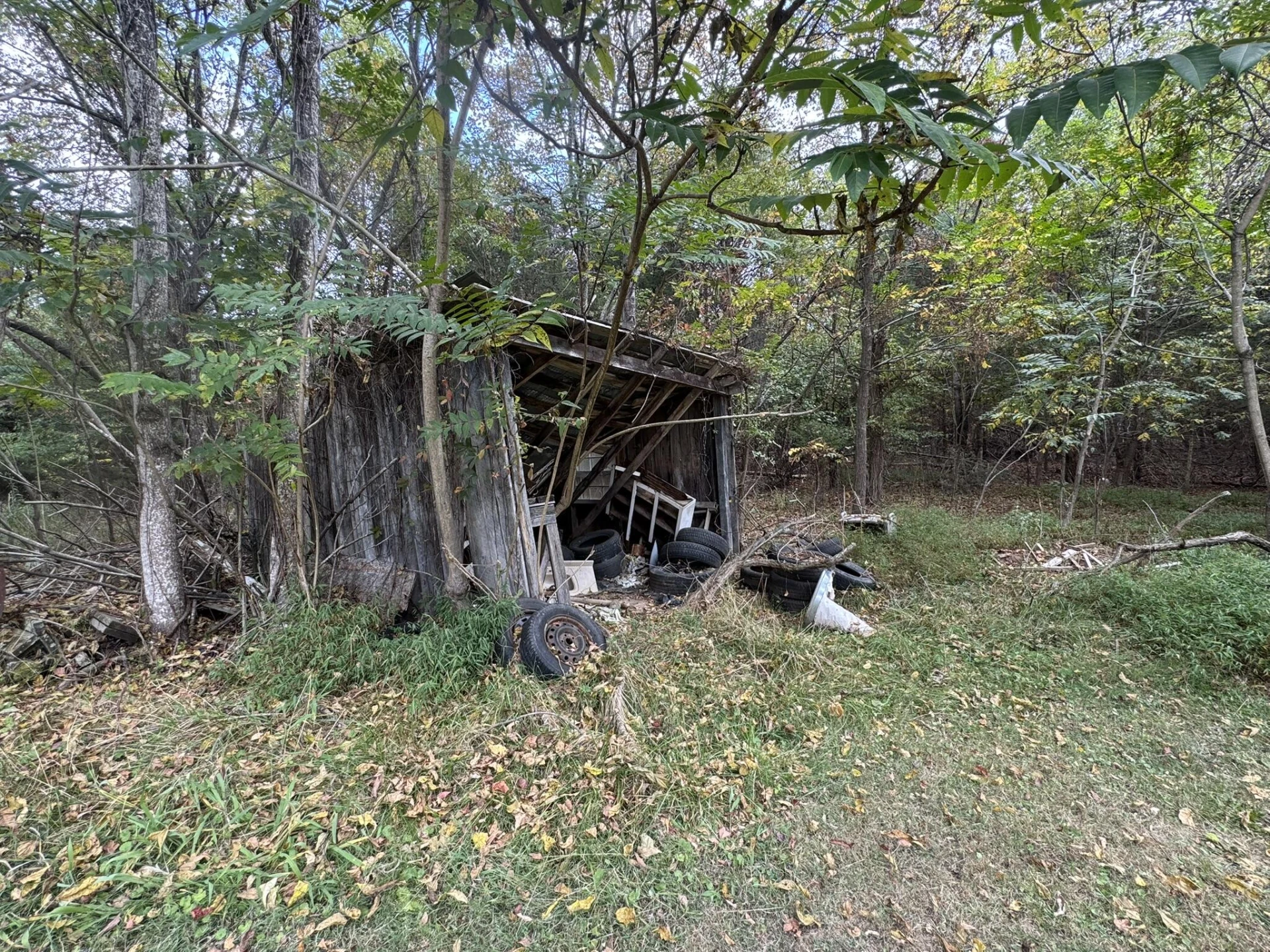 623 Kingston RD - Photo 6