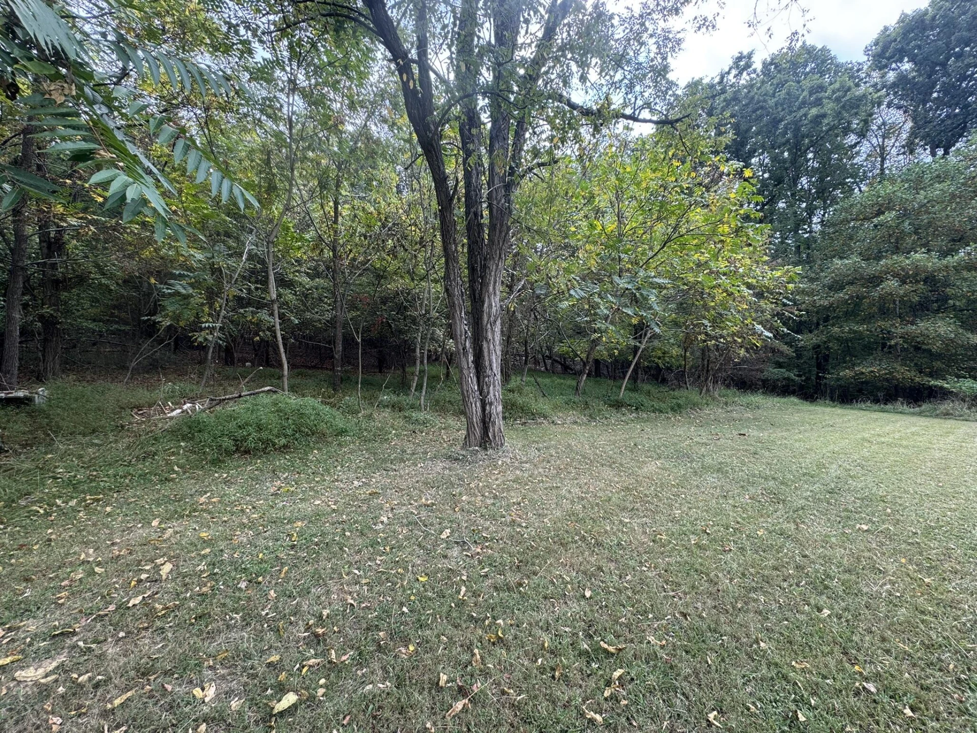 623 Kingston RD - Photo 7