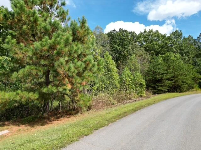 00 SPRING CHASE DR