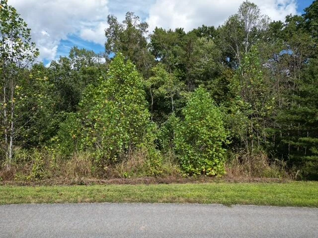 00 SPRING CHASE DR - Photo 2