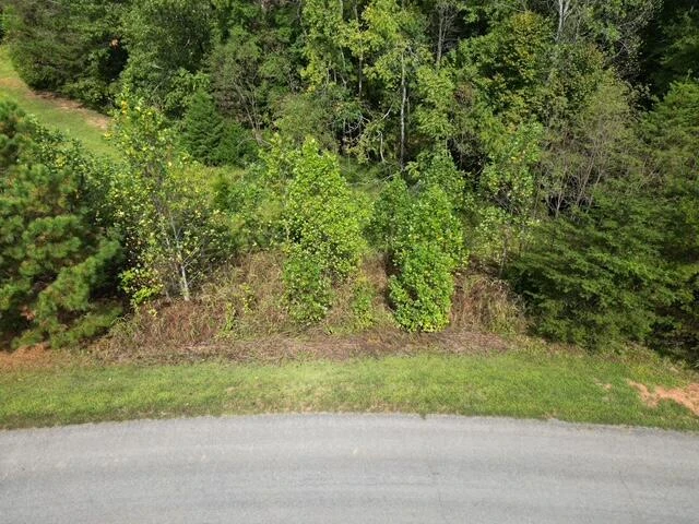 00 SPRING CHASE DR - Photo 4