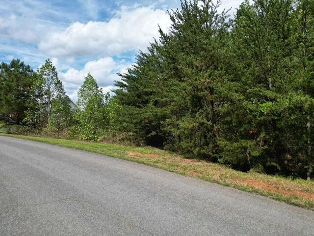 00 SPRING CHASE DR - Photo 5