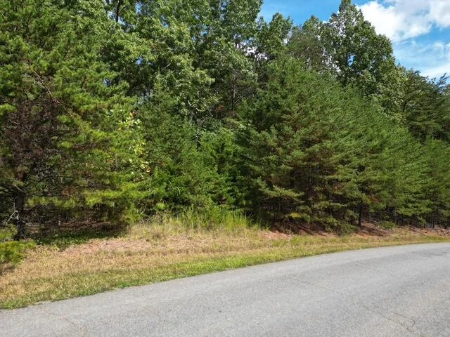 000 SPRING CHASE DR