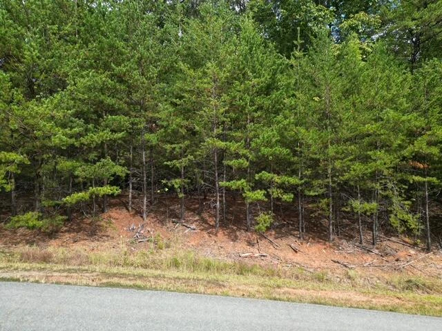 000 SPRING CHASE DR - Photo 2