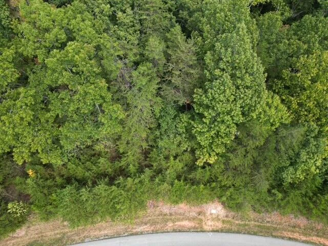 000 SPRING CHASE DR - Photo 4