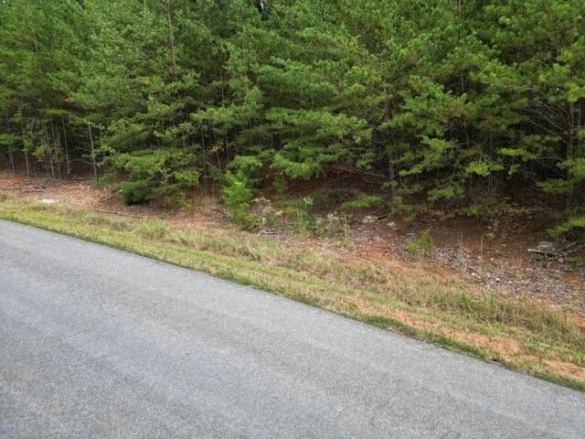 000 SPRING CHASE DR - Photo 5