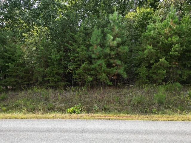 0000 SPRING CHASE DR - Photo 2
