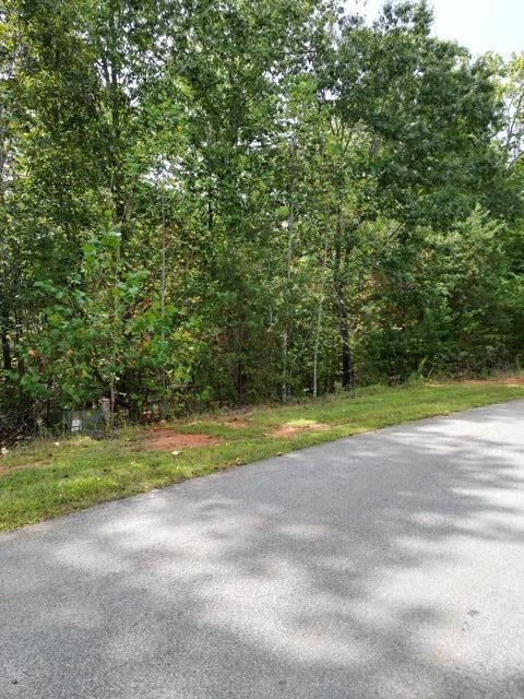 0000 SPRING CHASE DR - Photo 3