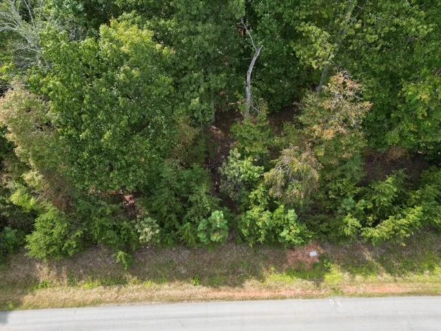 0000 SPRING CHASE DR - Photo 4
