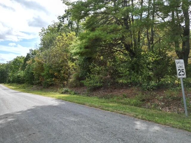0000 SPRING CHASE DR - Photo 5