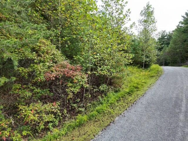 00 LAUREL RUN DR - Photo 2
