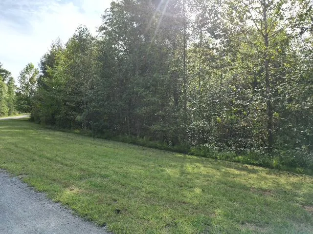 000 LAUREL RUN DR, Callaway, VA, 24067