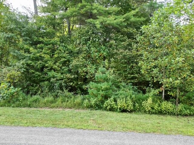 000 LAUREL RUN DR - Photo 2