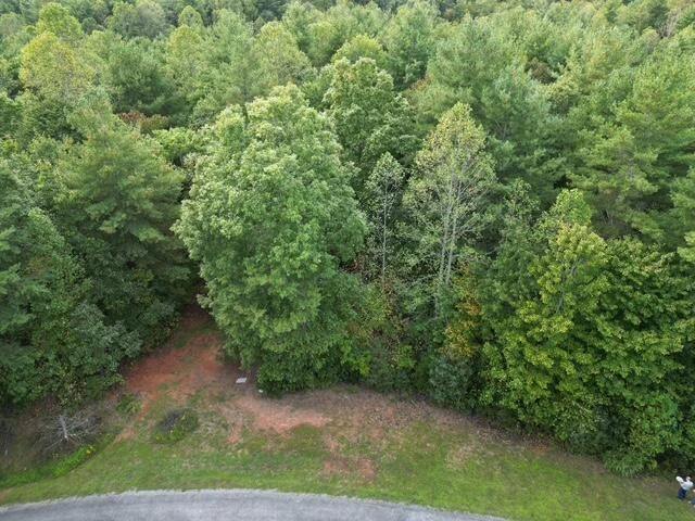 000 LAUREL RUN DR - Photo 3