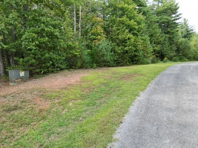000 LAUREL RUN DR - Photo 4