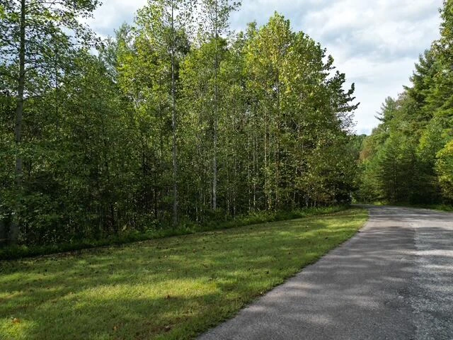 0000 LAUREL RUN DR - Photo 2