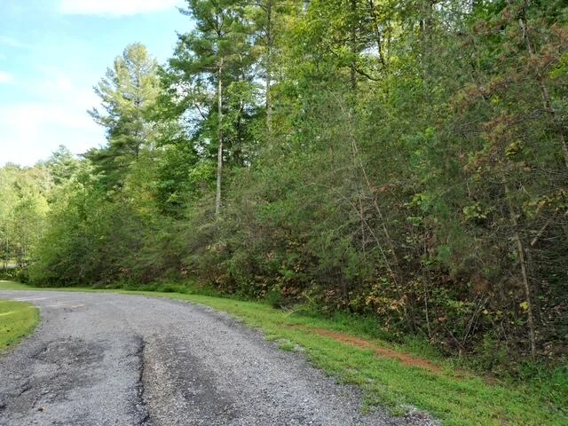 00 SAGE LN - Photo 2