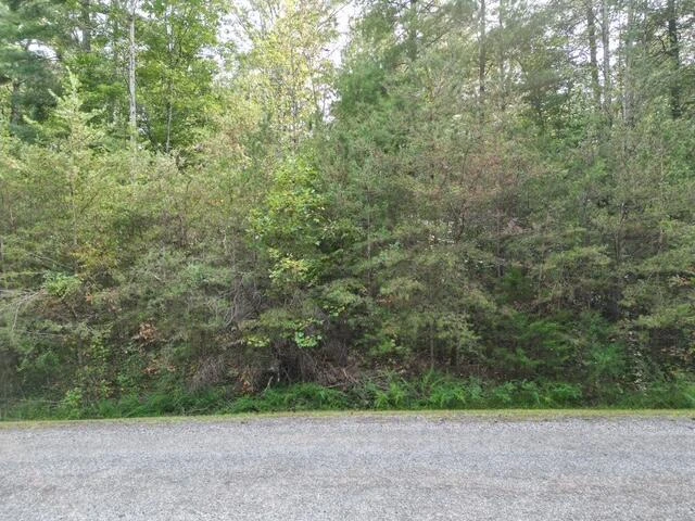 000 SAGE LN - Photo 2