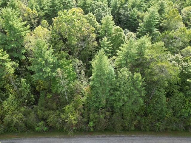 000 SAGE LN - Photo 4
