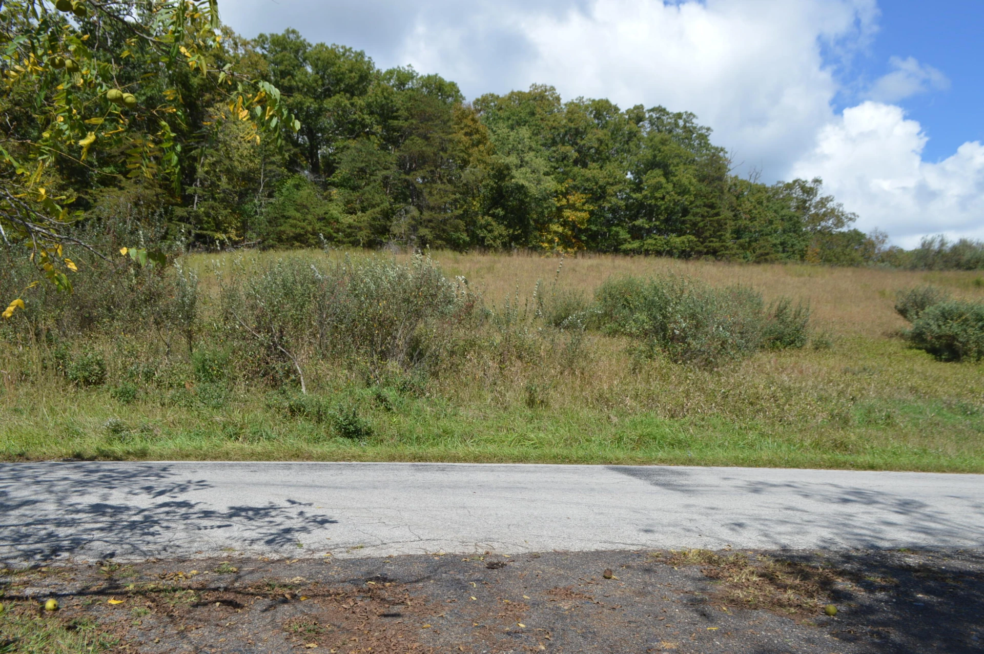 023 Johns Creek RD - Photo 2