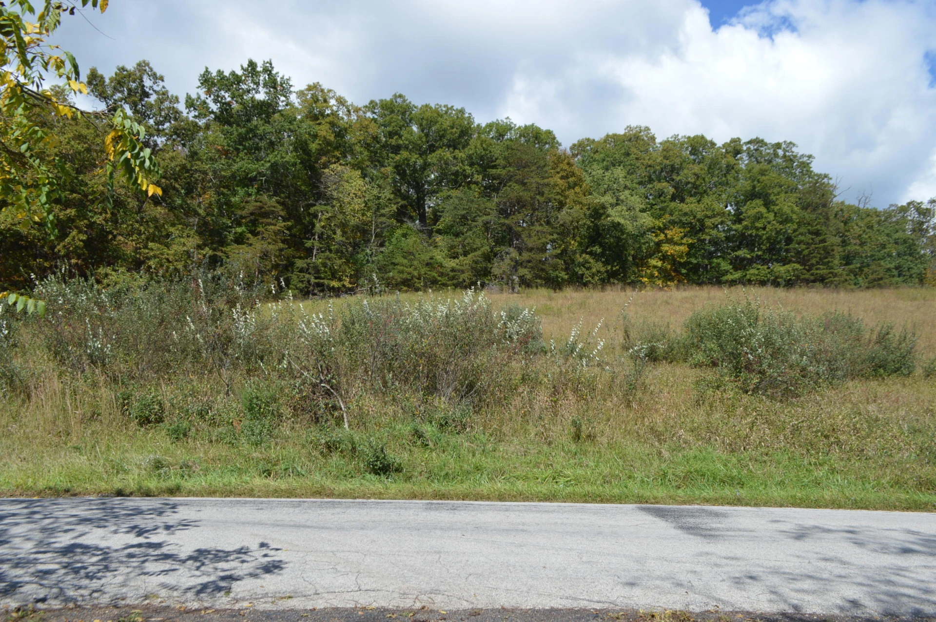 023 Johns Creek RD - Photo 3
