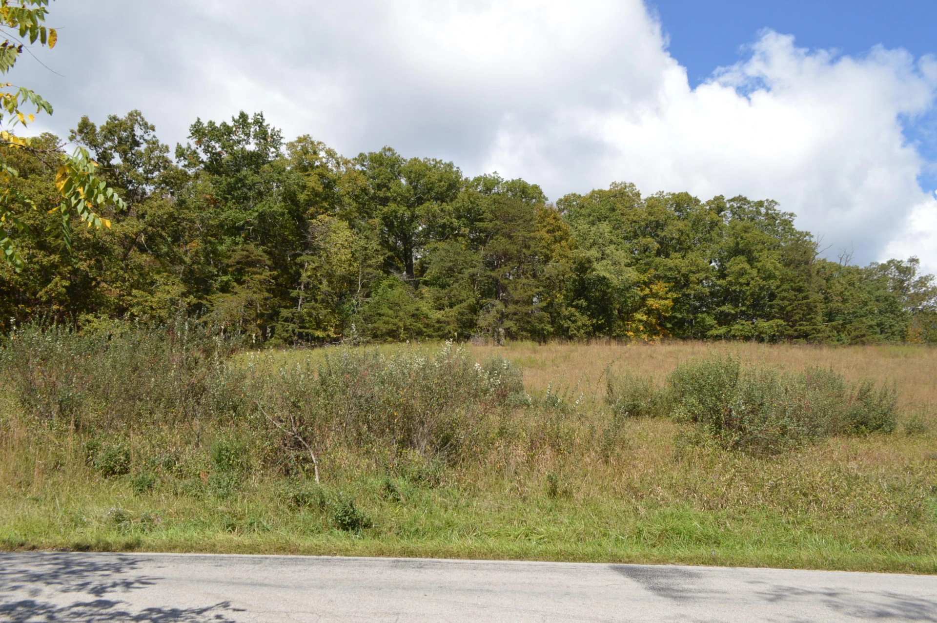 023 Johns Creek RD - Photo 4