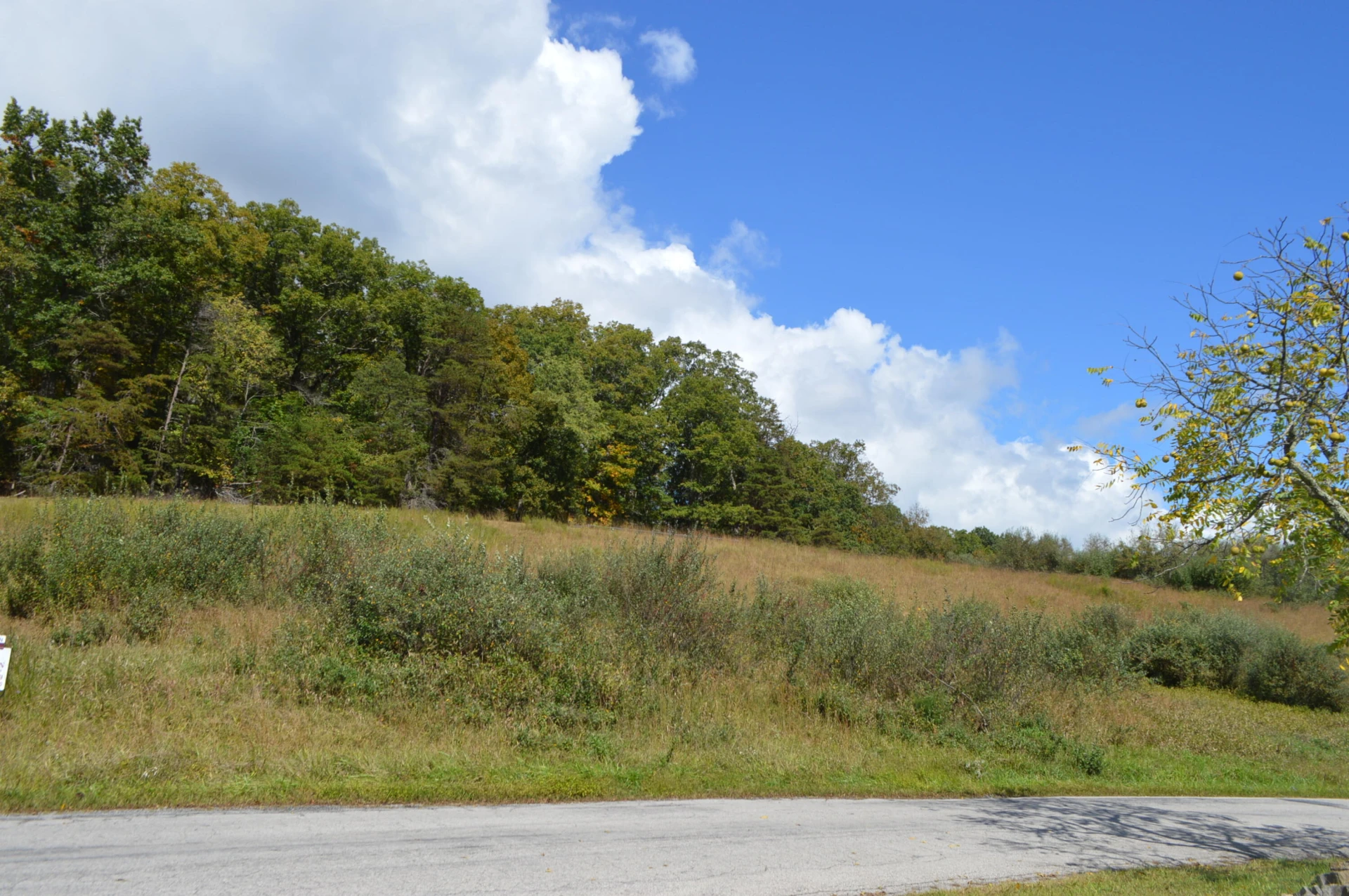 023 Johns Creek RD - Photo 5