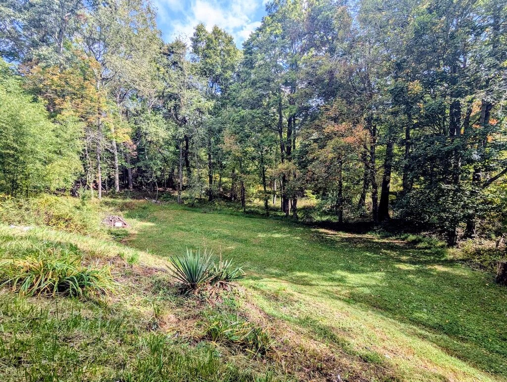 3335 Daniels Run RD NE - Photo 5