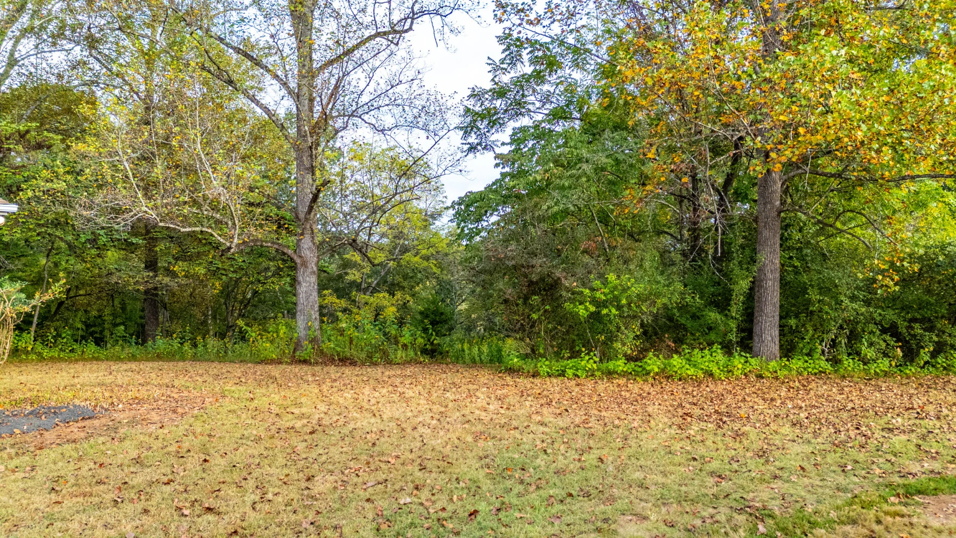 1469 Little Echo LN - Photo 49