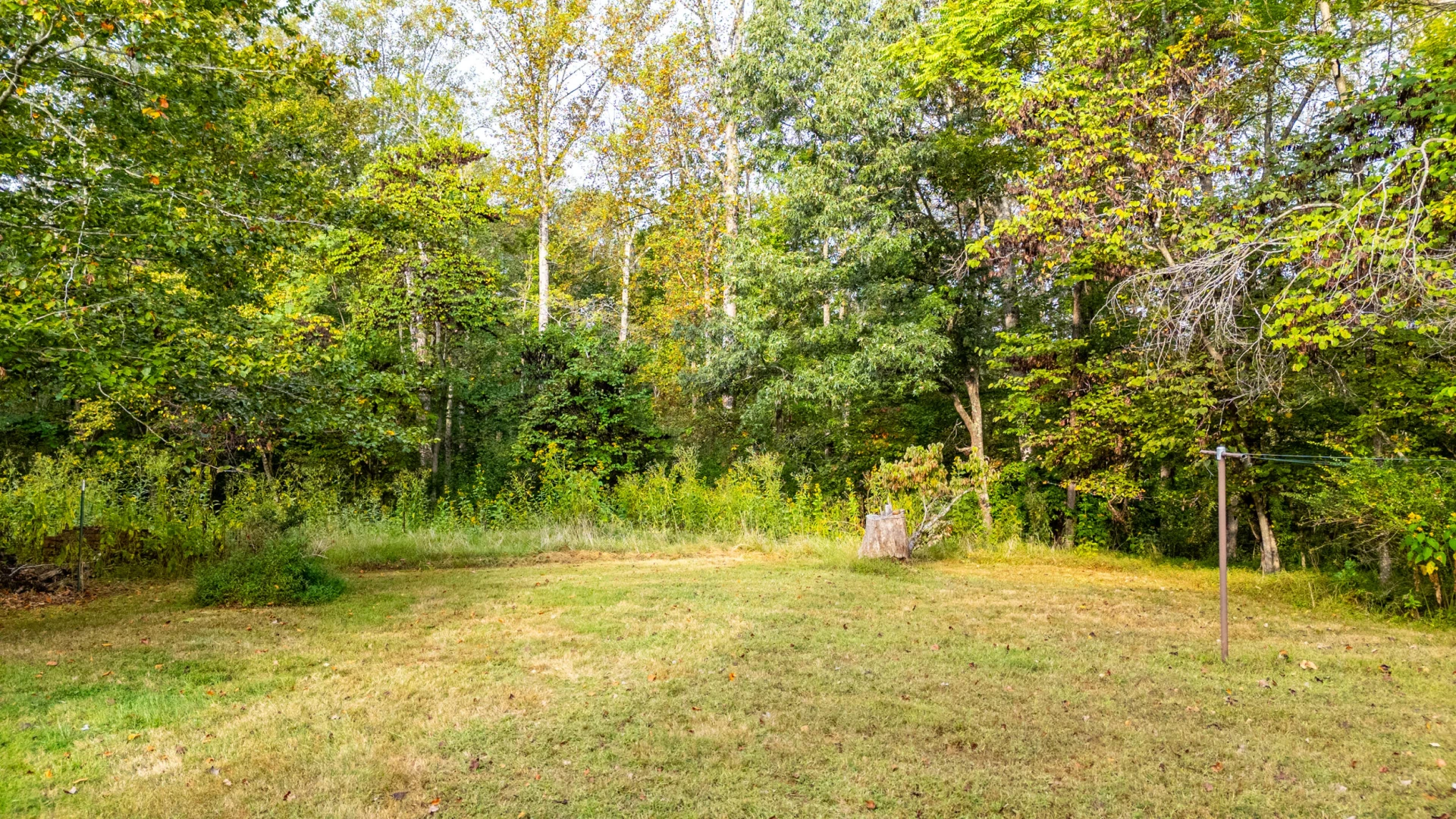 1469 Little Echo LN - Photo 54
