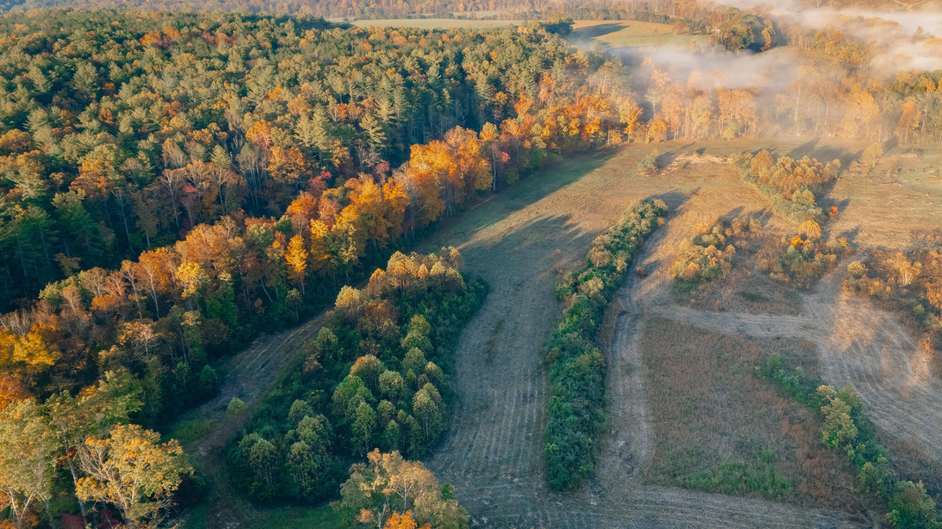 tbd Craigs Creek RD - Photo 6