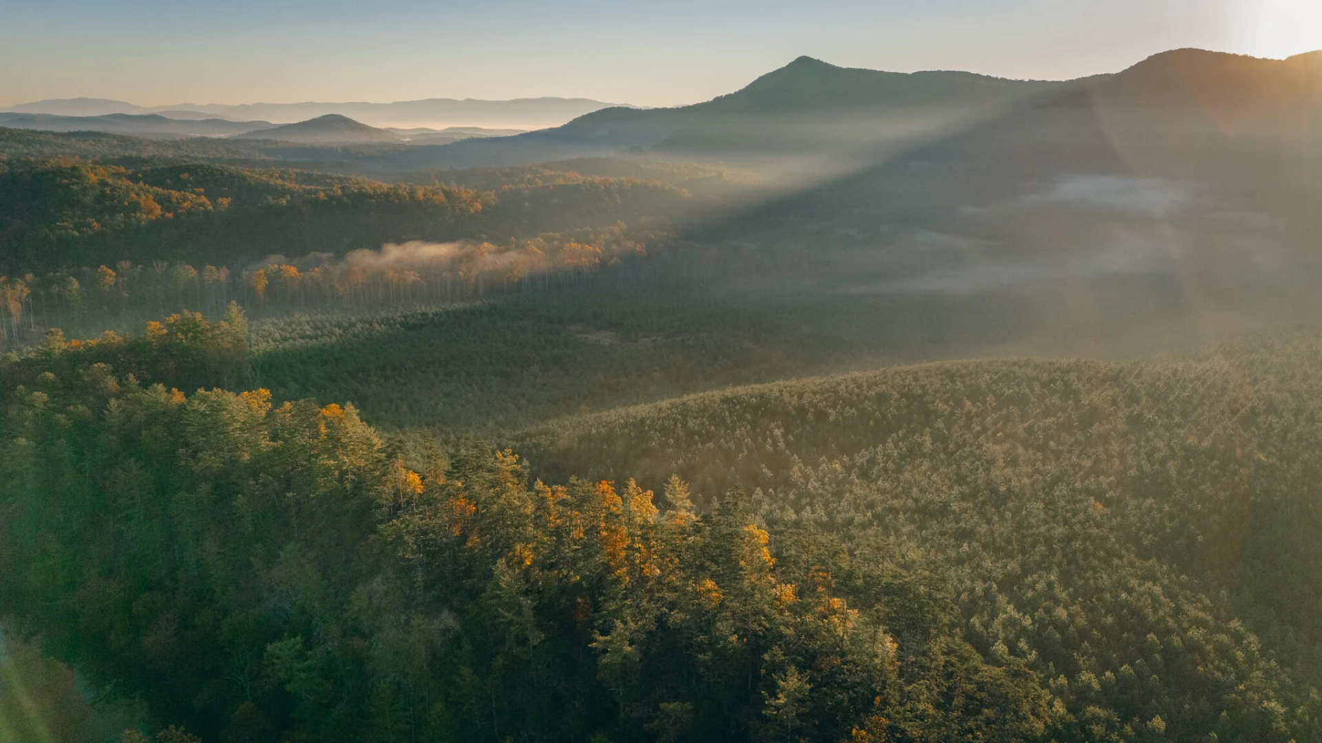 tbd Craigs Creek RD - Photo 8