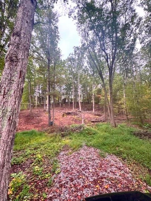 4142 Bradshaw RD - Photo 2