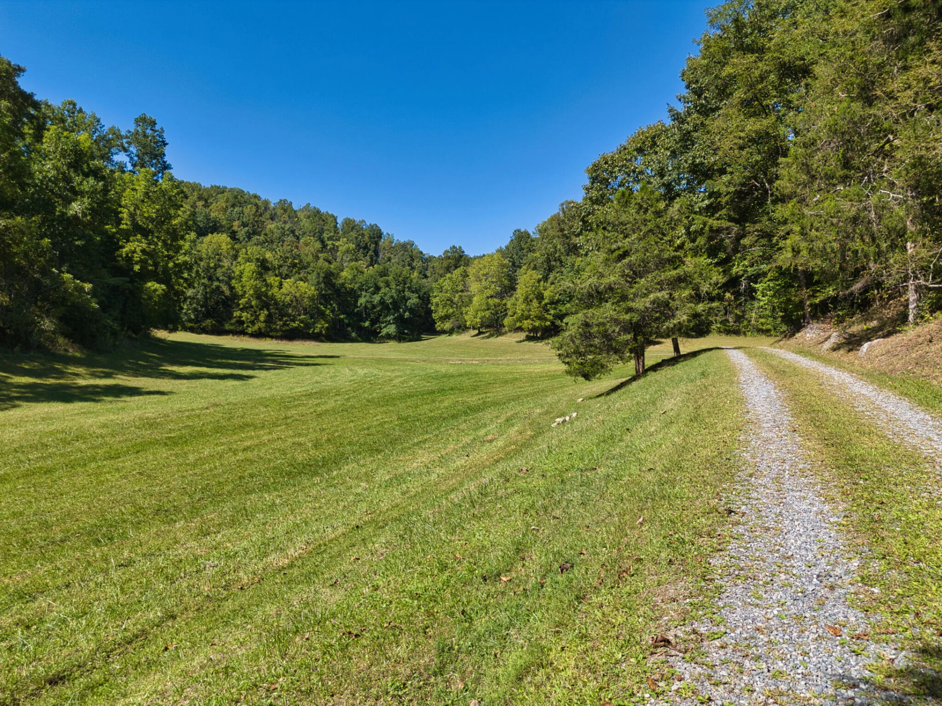 2554 Georges Run RD - Photo 11