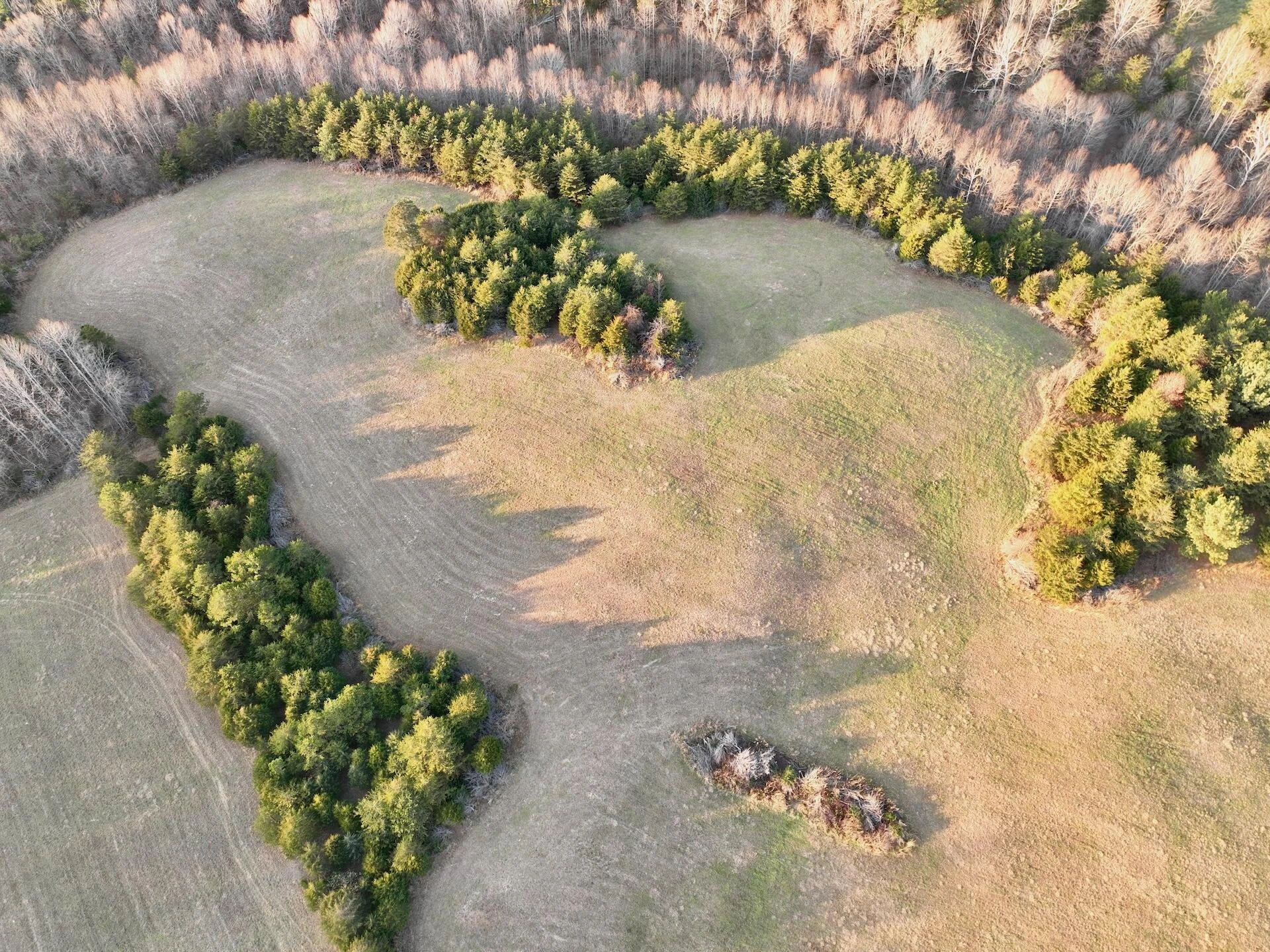 2743 Johnson School Road RD - Photo 12