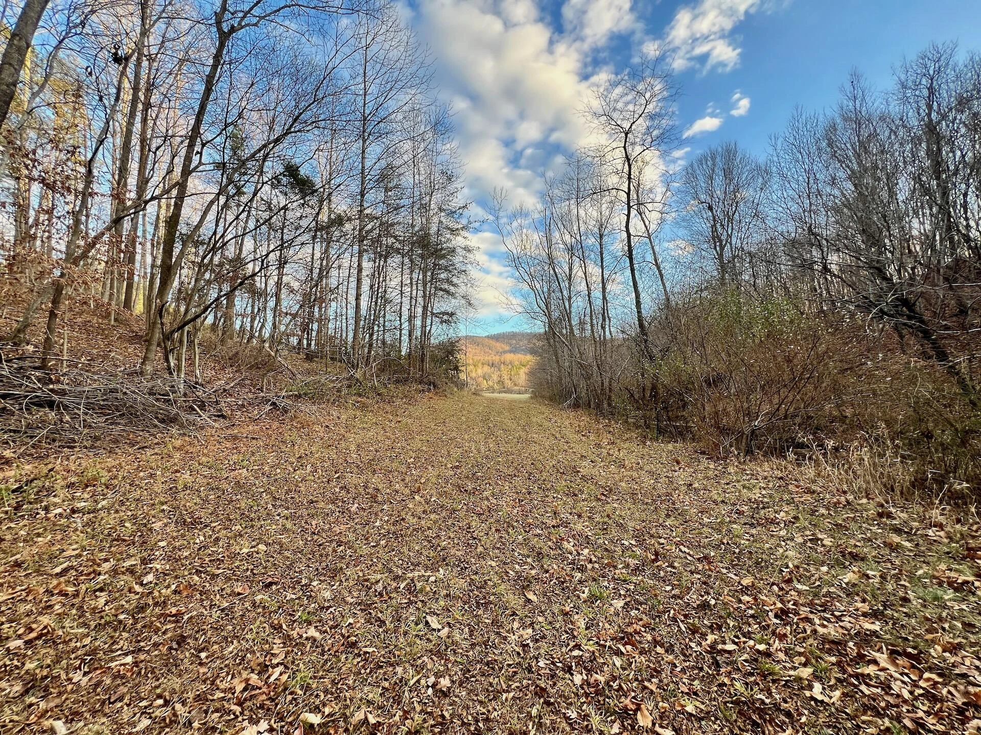 2743 Johnson School Road RD - Photo 13